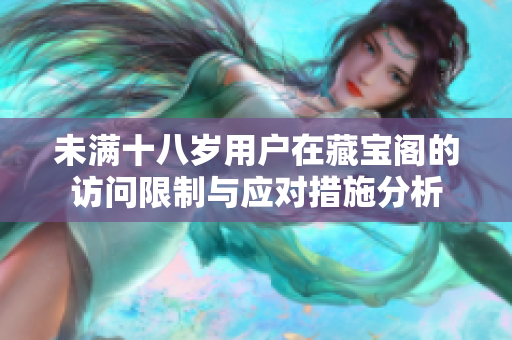 未满十八岁用户在藏宝阁的访问限制与应对措施分析