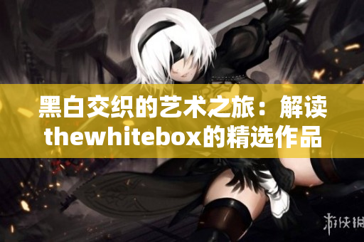 黑白交织的艺术之旅：解读thewhitebox的精选作品