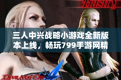 三人中兴战略小游戏全新版本上线，畅玩799手游网精彩体验