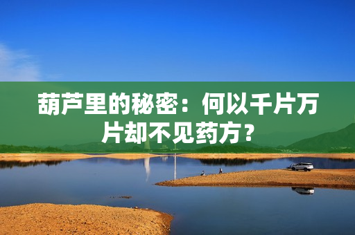 葫芦里的秘密：何以千片万片却不见药方？