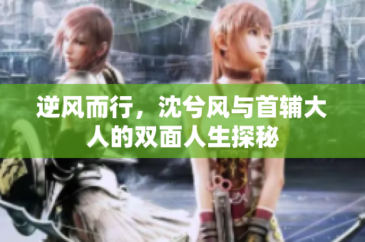 逆风而行，沈兮风与首辅大人的双面人生探秘