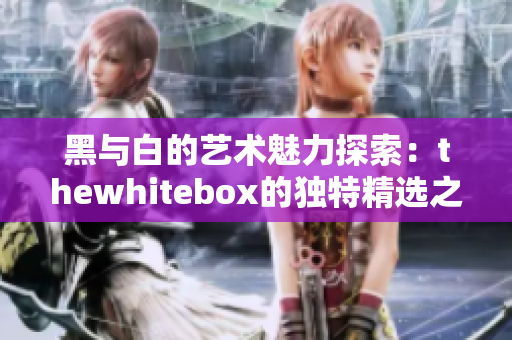 黑与白的艺术魅力探索：thewhitebox的独特精选之旅