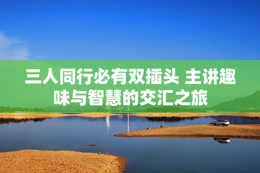 三人同行必有双插头 主讲趣味与智慧的交汇之旅