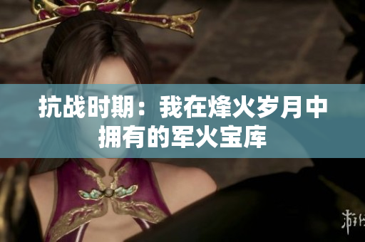 抗战时期：我在烽火岁月中拥有的军火宝库