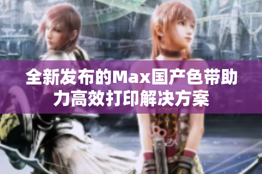 全新发布的Max国产色带助力高效打印解决方案