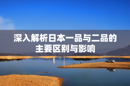 深入解析日本一品与二品的主要区别与影响