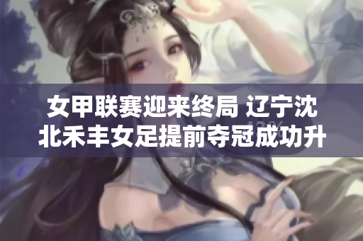 女甲联赛迎来终局 辽宁沈北禾丰女足提前夺冠成功升超