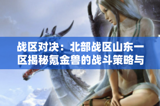 战区对决：北部战区山东一区揭秘氪金兽的战斗策略与技巧