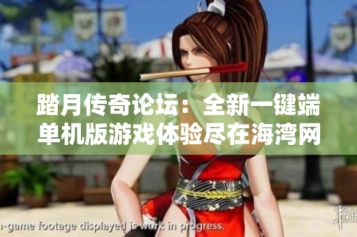 踏月传奇论坛：全新一键端单机版游戏体验尽在海湾网