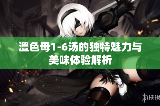 澧色母1-6汤的独特魅力与美味体验解析