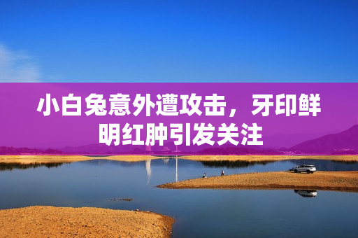 小白兔意外遭攻击，牙印鲜明红肿引发关注
