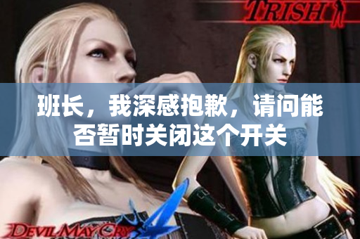 班长，我深感抱歉，请问能否暂时关闭这个开关