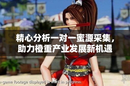 精心分析一对一蜜源采集，助力橙重产业发展新机遇