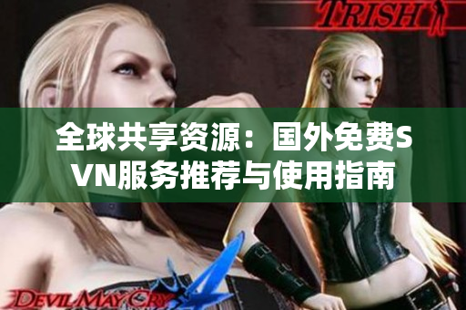 全球共享资源：国外免费SVN服务推荐与使用指南