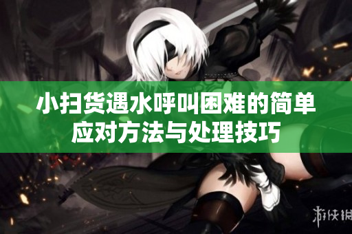 小扫货遇水呼叫困难的简单应对方法与处理技巧