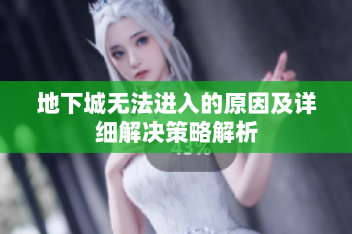地下城无法进入的原因及详细解决策略解析