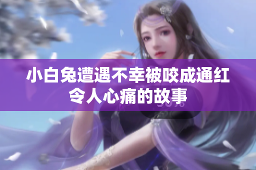 小白兔遭遇不幸被咬成通红令人心痛的故事