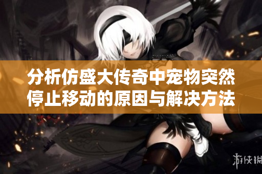 分析仿盛大传奇中宠物突然停止移动的原因与解决方法
