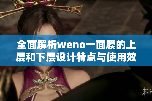 全面解析weno一面膜的上层和下层设计特点与使用效果