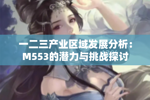 一二三产业区域发展分析：M553的潜力与挑战探讨