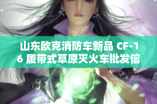 山东欧克消防车新品 CF-16 履带式草原灭火车批发信息发布