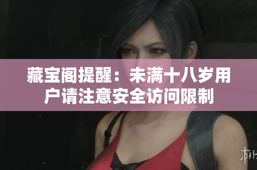藏宝阁提醒：未满十八岁用户请注意安全访问限制