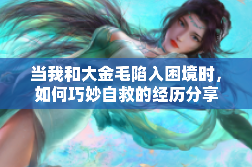当我和大金毛陷入困境时，如何巧妙自救的经历分享