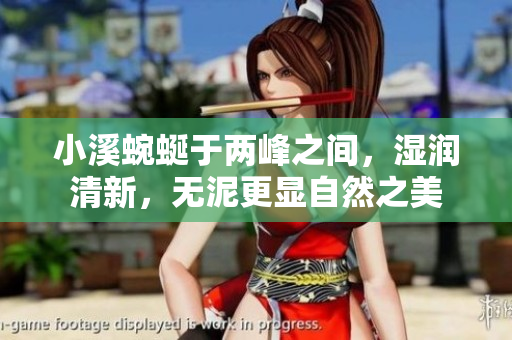 小溪蜿蜒于两峰之间，湿润清新，无泥更显自然之美