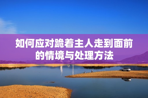 如何应对跪着主人走到面前的情境与处理方法