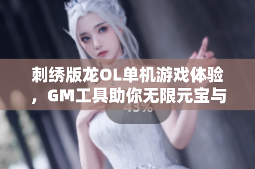 刺绣版龙OL单机游戏体验，GM工具助你无限元宝与百级神器尽享乐趣