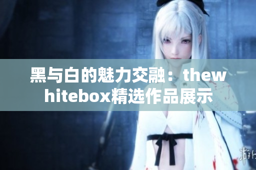 黑与白的魅力交融：thewhitebox精选作品展示