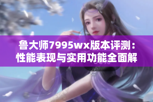 鲁大师7995wx版本评测：性能表现与实用功能全面解析