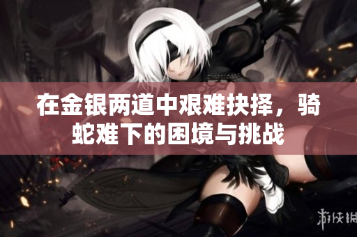 在金银两道中艰难抉择，骑蛇难下的困境与挑战