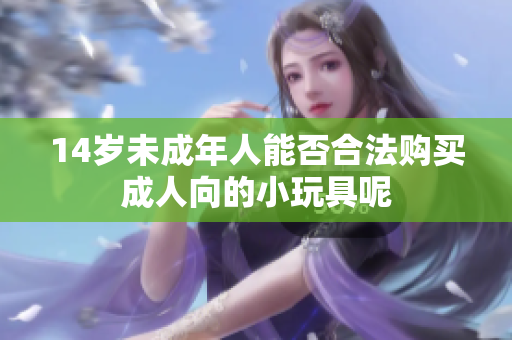 14岁未成年人能否合法购买成人向的小玩具呢