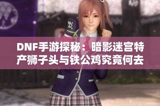 DNF手游探秘：暗影迷宫特产狮子头与铁公鸡究竟何去何从？