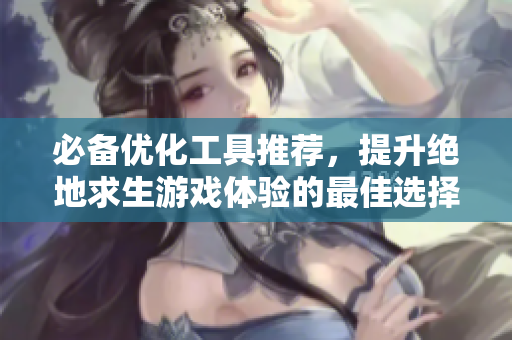 必备优化工具推荐，提升绝地求生游戏体验的最佳选择