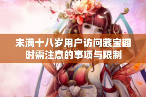 未满十八岁用户访问藏宝阁时需注意的事项与限制