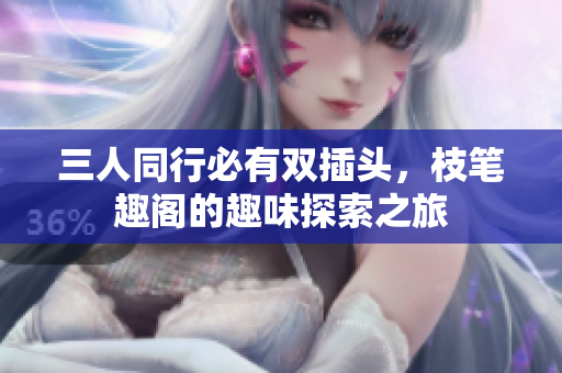 三人同行必有双插头，枝笔趣阁的趣味探索之旅