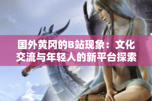 国外黄冈的B站现象：文化交流与年轻人的新平台探索