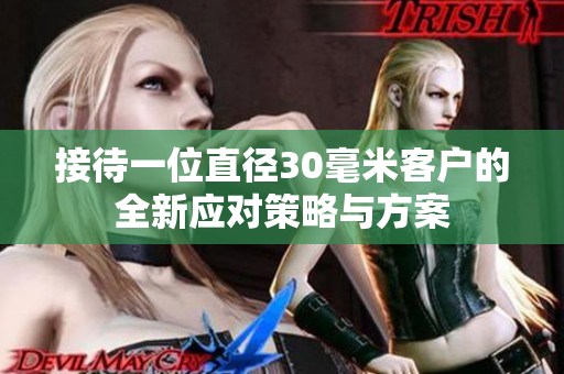 接待一位直径30毫米客户的全新应对策略与方案