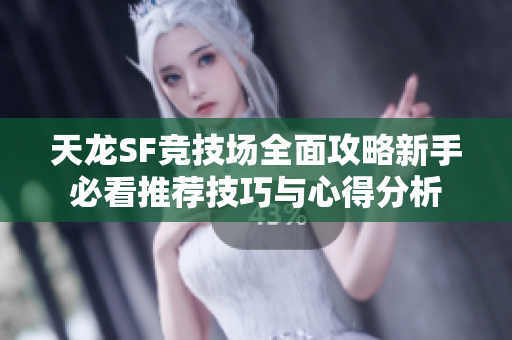天龙SF竞技场全面攻略新手必看推荐技巧与心得分析