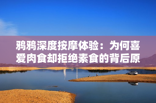 鸦鸦深度按摩体验：为何喜爱肉食却拒绝素食的背后原因