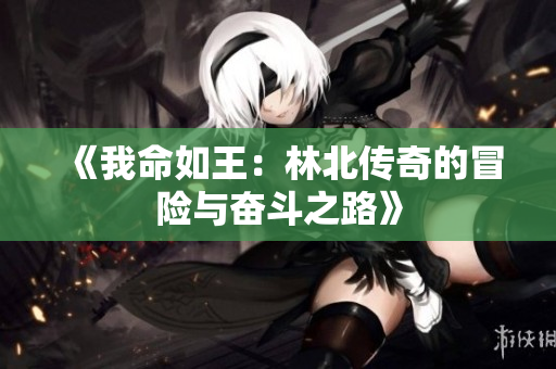 《我命如王：林北传奇的冒险与奋斗之路》
