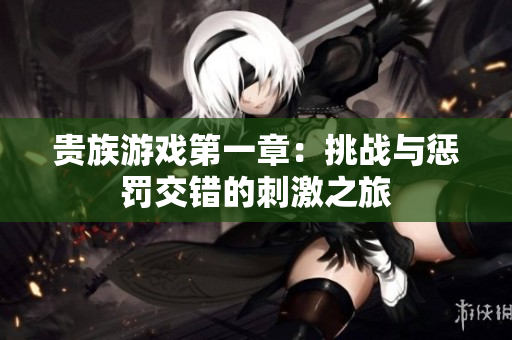 贵族游戏第一章：挑战与惩罚交错的刺激之旅