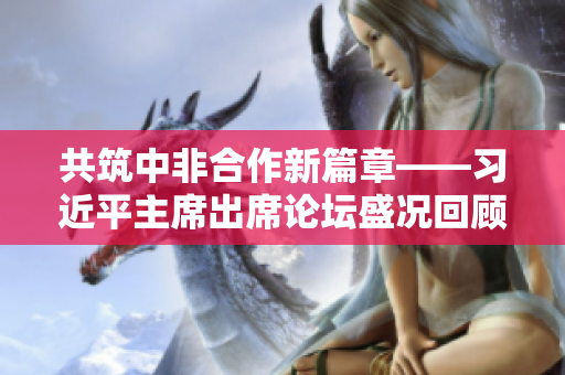 共筑中非合作新篇章——习近平主席出席论坛盛况回顾