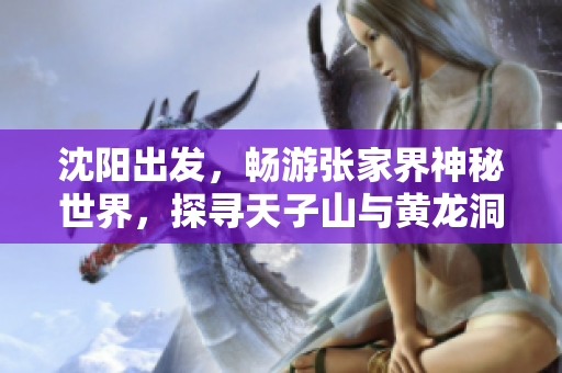 沈阳出发，畅游张家界神秘世界，探寻天子山与黄龙洞奇景