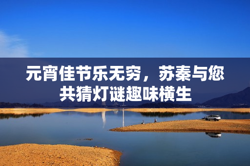 元宵佳节乐无穷，苏秦与您共猜灯谜趣味横生