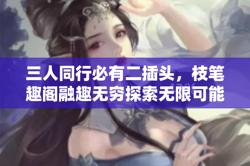 三人同行必有二插头，枝笔趣阁融趣无穷探索无限可能