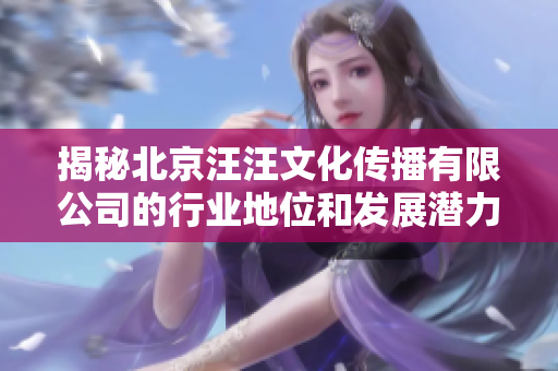 揭秘北京汪汪文化传播有限公司的行业地位和发展潜力