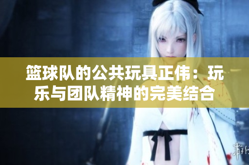 篮球队的公共玩具正伟：玩乐与团队精神的完美结合